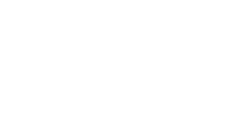2.1 (1)